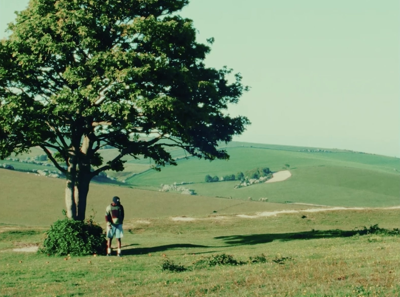 Memo Approved Additional image